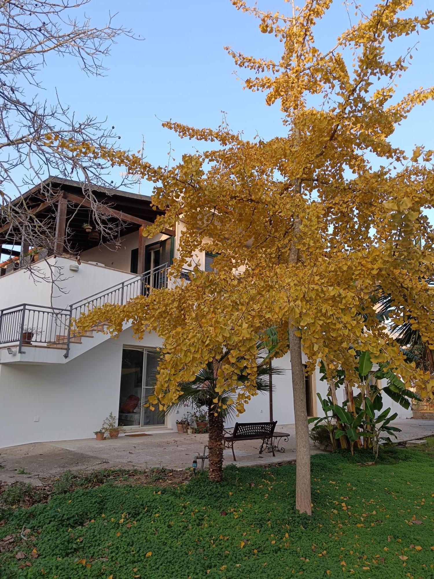 Villa La Casa Del Noce Ruffano Exterior foto